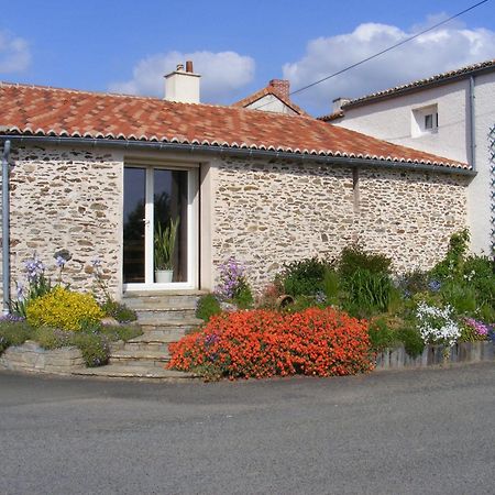 Chambres D'Hotes Vignes Et Loire Drain Exterior foto