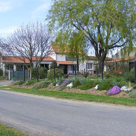 Chambres D'Hotes Vignes Et Loire Drain Exterior foto