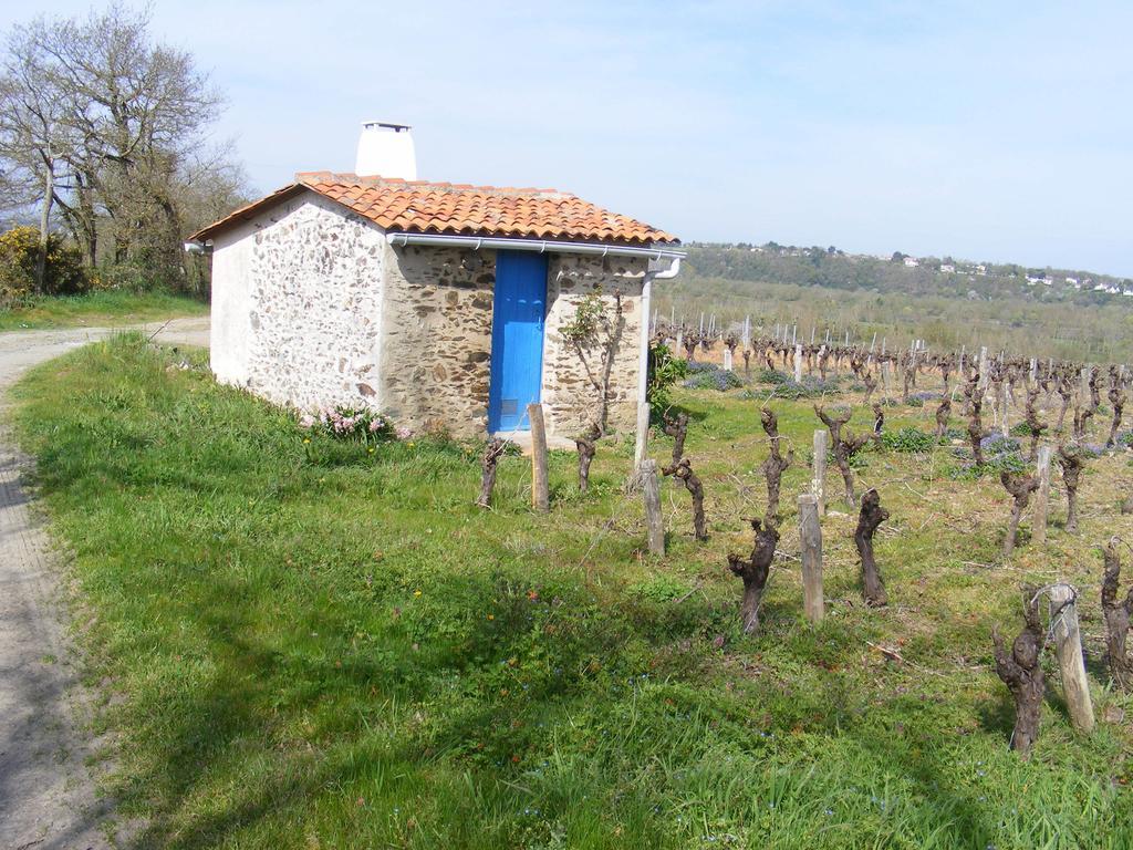 Chambres D'Hotes Vignes Et Loire Drain Cameră foto