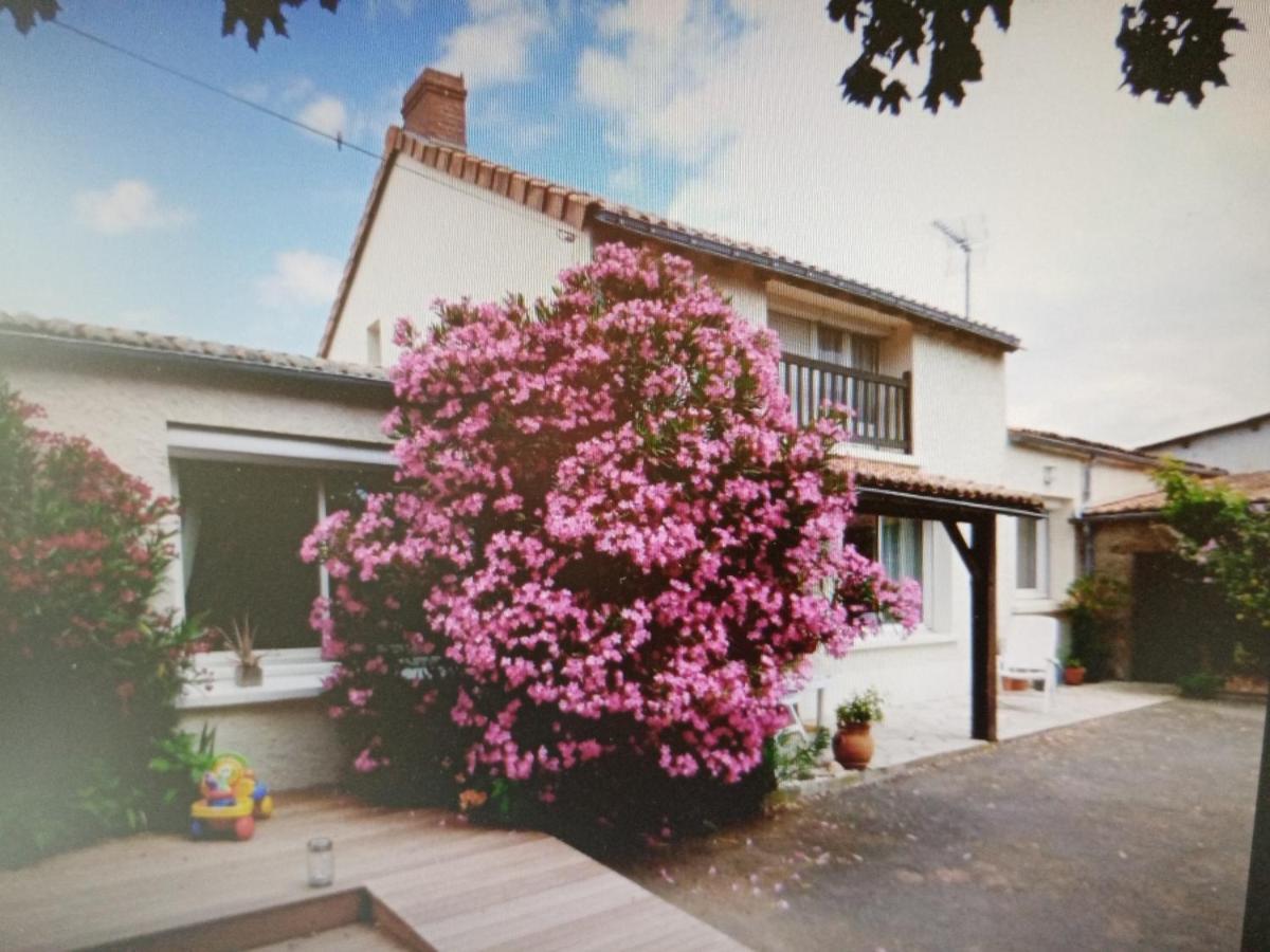 Chambres D'Hotes Vignes Et Loire Drain Exterior foto