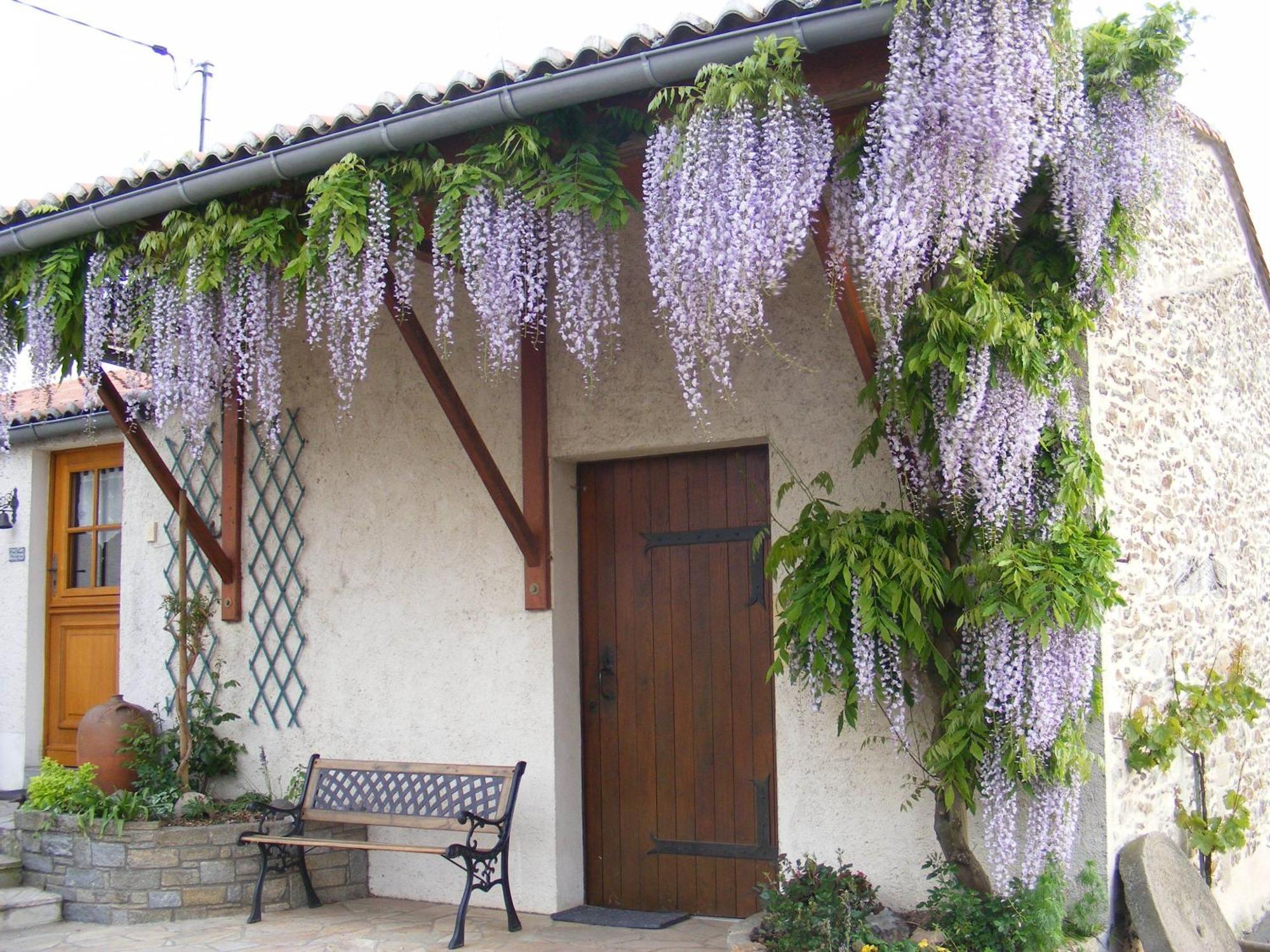 Chambres D'Hotes Vignes Et Loire Drain Exterior foto